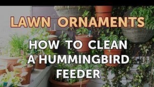 'How to Clean a Hummingbird Feeder'
