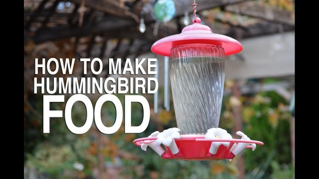'How To Make Hummingbird Food'