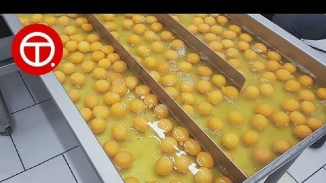 'How Egg Are Processed in Factory | Amazing Food Production ▶05'