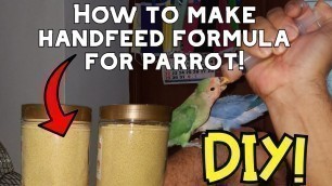 'How to make hand feeding formula for baby birds parrot | Lovebirds, Cockatiel, Sun Conure , GCC'