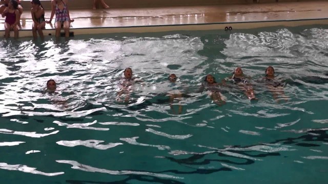 'Sport Fitness School 2013: Session 4 - Synchro Show'