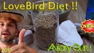 'How to feed your pet LOVE BIRDS !! Best Lovebird Diet !! 2017'