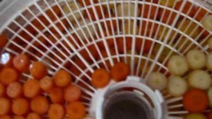 'Preserving Carrots - Dehydration and Mason Jars'