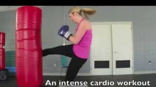 'EXPERT: Cardio Kickboxing Heavy Bag Workout: IRON JOE KICKBOXING ®'