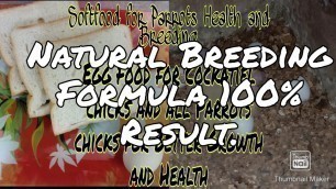 'Budgies, Cockatiel,Lovebird, Ringneck,Raw 100% Natural Breeding Formula|Egg Food,Softfood|Hindi/Urdu'