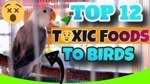 'TOP 12 Foods That Are TOXIC To Lovebirds - WORST Foods To Feed Your Birds'