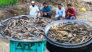 'Special Fish Curry Recipe || Eels Fish Recipe || Bommidala Fish gravy || Nawabs Kitchen'