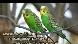 'love birds ന് ഞാൻ കൊടുക്കുന്ന ആഹാരങ്ങൾ|Healthy food menu for Budgies |Lovebird Seed food & Leaf food'