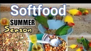 'Mix Softfood Of Budgies/Love Birds/Cockatiel For Summer Season| Lovebirds summer foods | #lovebird'