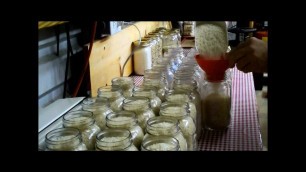 'Food Storage: Rice, In Mason Jars'