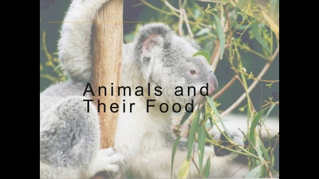 'Animals and Their Food #Herbivores #carnivores #Omnivores'