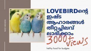 'BEST AND HEALTHY FOOD FOR BUDGIES (love bird) IN MALAYALAM കുറഞ്ഞ ചിലവിൽ തീറ്റച്ചിലവ് ലാഭിക്കാം'