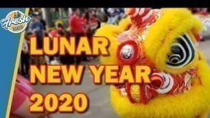 'Celebrate Lunar New Year | Amazing Food Amazing Shows | Disneyland 2020-01-18 Pt. 3'