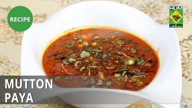 'Mutton Paya Recipe | Dawat | Abida Baloch | Fast Food | Food Court'