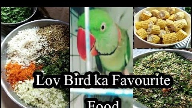 'Love Bird ka favourite food | bird food tips | Bird Food Secret | Arshaad Vlogs'