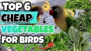 'TOP 6 BEST CHEAP VEGETABLES FOR BIRDS - Murang Gulay Para sa Lovebirds'