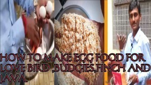 'HOW TO MAKE EGG FOOD FOR LOVE BIRD, BUDGIES,FINCH AND JAVA.EGG FOOD FOR MY ALL BIRDS.#BIRDS WALA.'