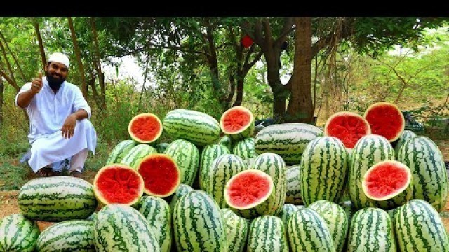 'Watermelon Healthy Refreshing Watermelon Milk Shake || Ramzan Special || Smoothie || Nawab Kitchen'