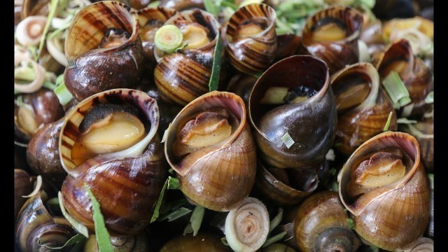 'Hot Fry Snail - Asian Food Recipes, Cambodian Food Cooking'