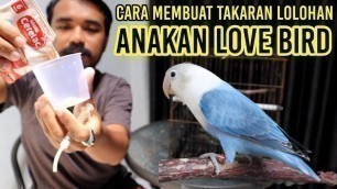 'MAKANAN LOVEBIRD LOLOHAN & CARA MEMBUATNYA'