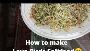'Love Bird Soft Food | How to Prepared Lovebird Soft Food'