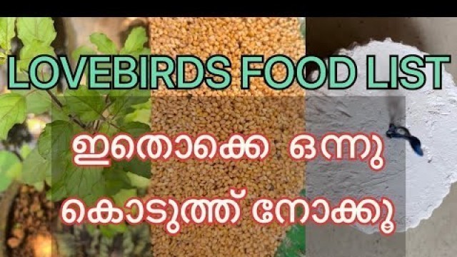 'Best food for lovebirds-lovebirds ന്റെ ആരോഗ്യത്തിനായി ഇതൊക്കെ കൊടുക്കൂ#lovebird #food#budgiefood#pet'