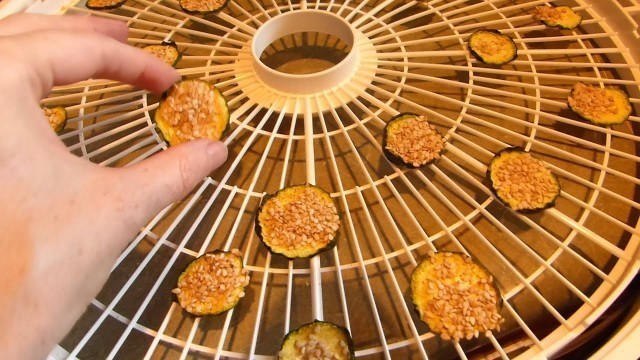 'How to Make Dried Zucchini Chips in the Food Dehydrator - Nesco 2014'