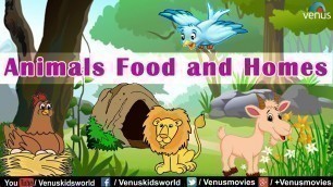 'Animal Kingdom ~ Animals Food and Homes'