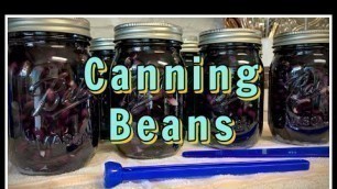 'Canning Beans & How I Store My Jars!'