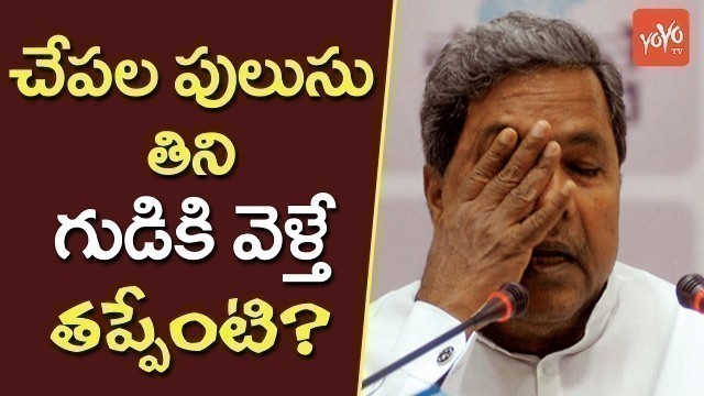 'A Fish Meal Before Temple Visit Not Wrong, Says CM Siddaramaiah | YOYO TV Channel'