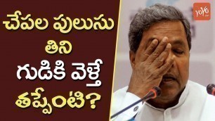 'A Fish Meal Before Temple Visit Not Wrong, Says CM Siddaramaiah | YOYO TV Channel'