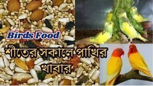 'শীতের সকালে পাখির খাবার ।। Lovebird Lover || Birds Food'