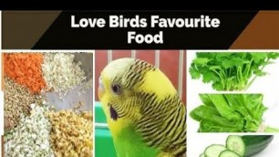 'Love Bird Food List | love birds favourite food | Lovebird food | Australian parrot | Arshaad Vlogs'