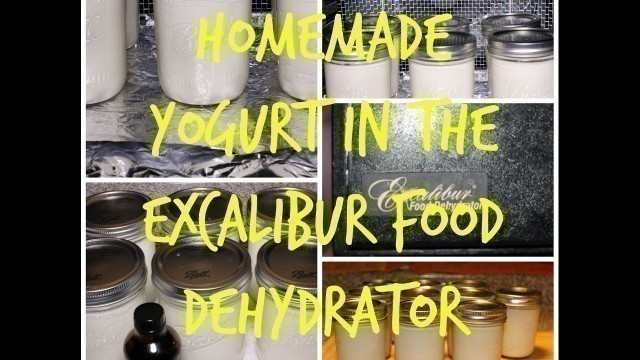 'Homemade Yogurt in the Excalibur Food Dehydrator'