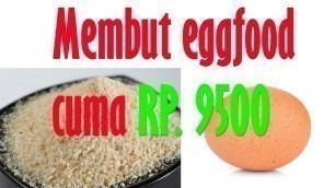 'cara membuat egg food lovebird murah'