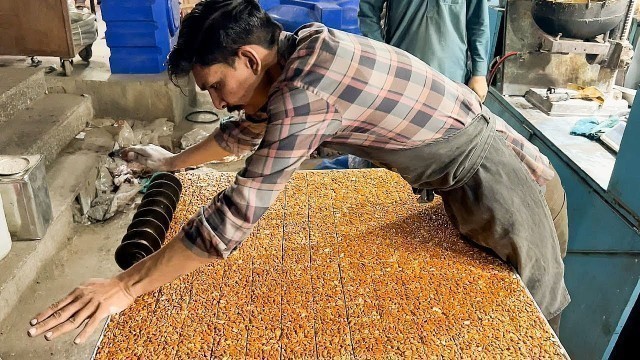 'PEANUT CHIKKI MAKING SKILLS | Amazing Food Processing Live Moongfali Jaggery Bar Recipe. Street Food'