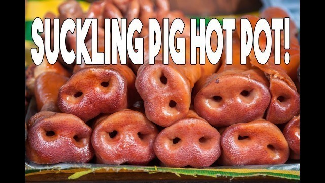 'Chinese Street Food Market and the BEST Suckling Pig Chicken Hot Pot in China'