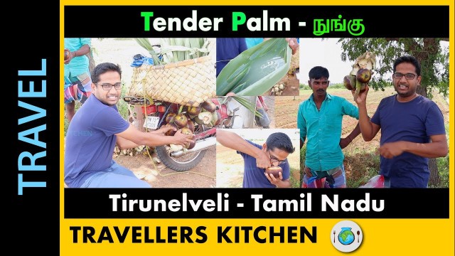 'நுங்கு | TENDER PALM Health Benefits | Summer Special | Tamil Nadu Street Food | Nungu'