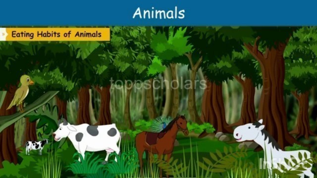 'STD 3 EVS ANIMALS AND THEIR FOOD'