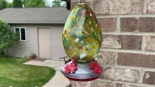 'How to keep ants off Hummingbird Feeder \"MOAT\"'