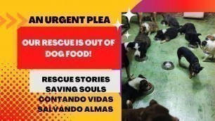'Please help our rescues with a small donation for food 