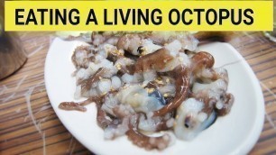 'Eating a living octopus |  Street Food Market Korea'