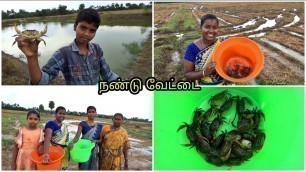 'கோடைமழையில் செம்ம நண்டு வேட்டை கொண்டாட்டம் | Village Vlog | Crab Catching | Amala Village Food'