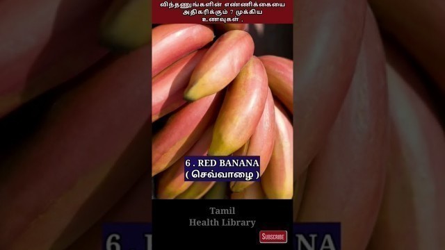 'விந்தணுங்களை அதிகரிக்கும்  உணவுகள் | Increase Sperm Count | Tamil health library #shorts'