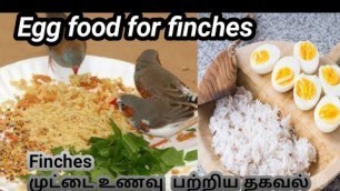 'finches  healthy food in tamil breeding fast  chick\'s very healthy Tamil  budgies same method'