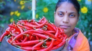 'Red Chilli Pickle Recipe How To  Make Pandumirapakaya Pachhadi Village cooking style Naveena Pujari'