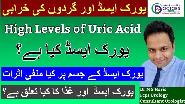 'URIC ACID AND KIDNEY DISEASE || URIC ACID AND FOOD || URIC ACID STONES یورک ایسڈ اور گردوں کی خرابی'