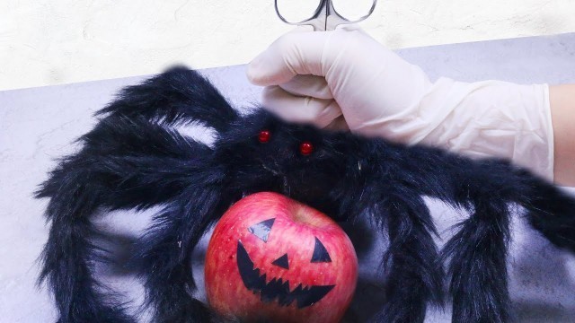 'Stop Motion Cooking - How to make Poison Candy Apples Halloween - ASMR eating Giant Spider'