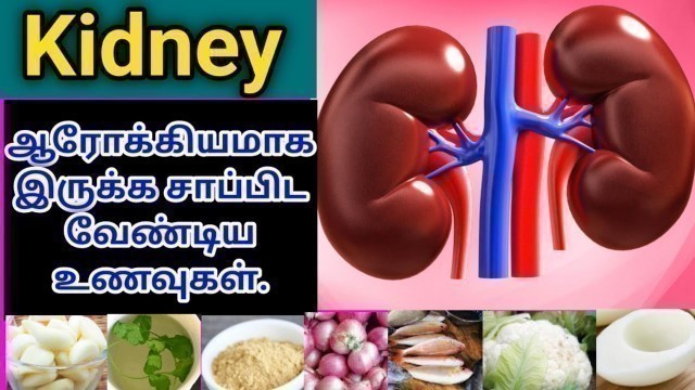 'kidney food for health in tamil | Good Foods for Kidney | Best Kidney Foods Tamil | healthy kidneys'