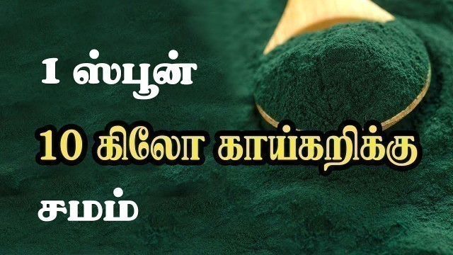 'Surul Paasi Spirulina in Tamil - The complete Food For Everyone'